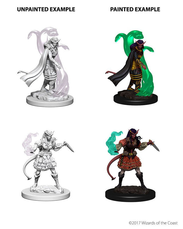 Tiefling Female Sorcerer: Nolzurs Marvelous Miniatures Wave 4 - Mini Megastore