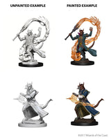 Tiefling Male Sorcerer: Nolzurs Marvelous Miniatures Wave 4 - Mini Megastore