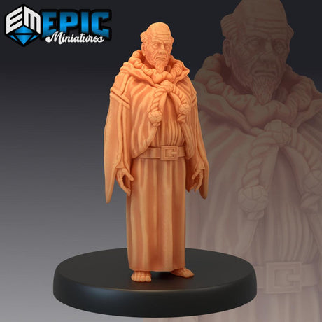 Villagers - Human Male Scholar Miniature - Mini Megastore