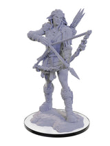 Wood Giant: Pathfinder Deep Cuts - Mini Megastore